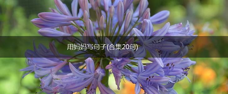 用妈妈写句子(合集20句),第1张