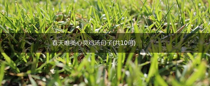 春天唯美心灵鸡汤句子(共10句),第1张
