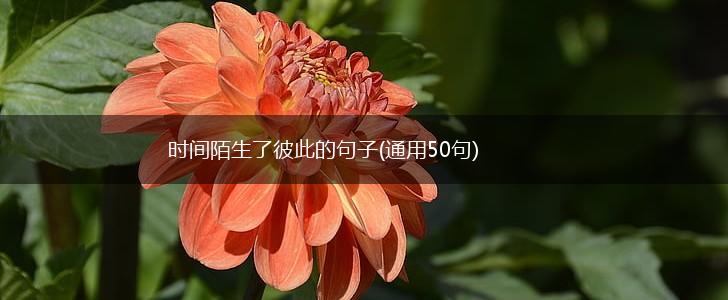 时间陌生了彼此的句子(通用50句),第1张