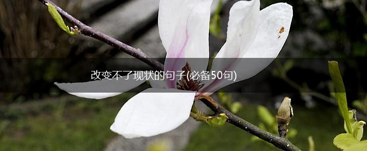 改变不了现状的句子(必备50句),第1张