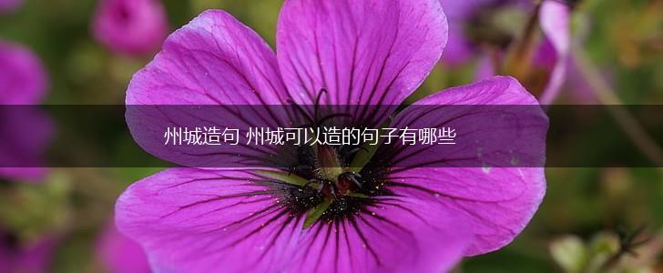 州城造句 州城可以造的句子有哪些,第1张 州城造句 州城可以造的句子有哪些,第1张