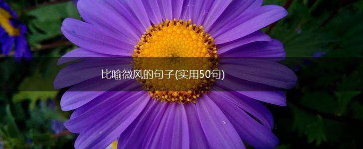 比喻微风的句子(实用50句),第1张