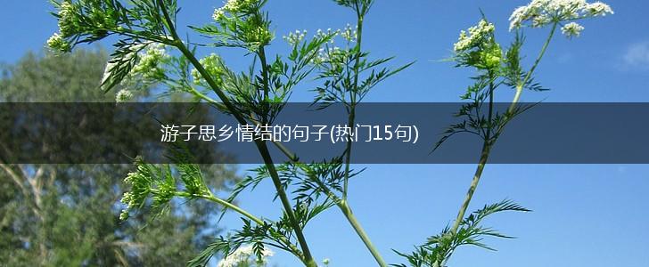 游子思乡情结的句子(热门15句),第1张