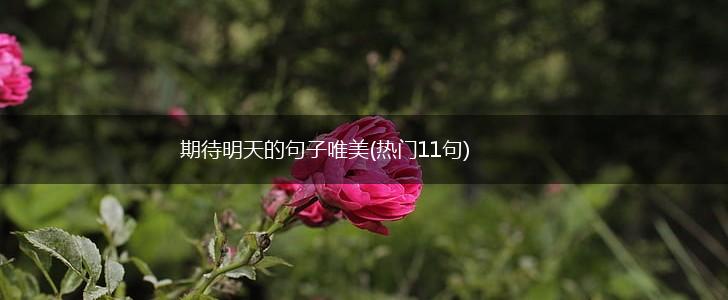 期待明天的句子唯美(热门11句),第1张