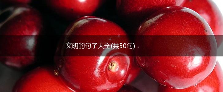 文明的句子大全(共50句),第1张