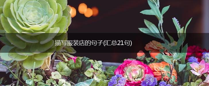 描写服装店的句子(汇总21句),第1张