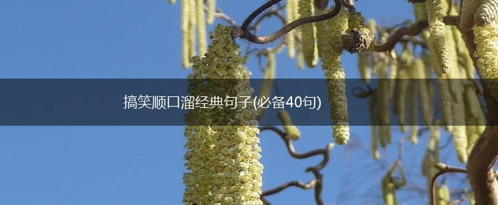 搞笑顺口溜经典句子(必备40句),第1张