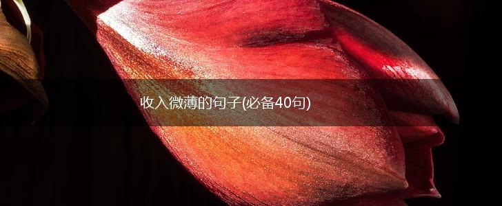 收入微薄的句子(必备40句),第1张