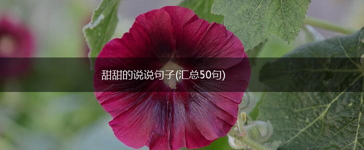 甜甜的说说句子(汇总50句),第1张
