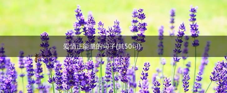 爱情正能量的句子(共50句),第1张