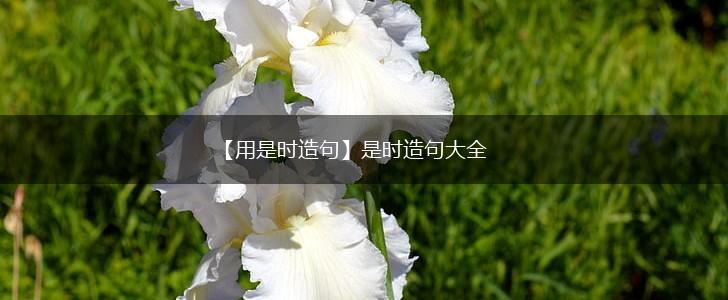 【用是时造句】是时造句大全,第1张
