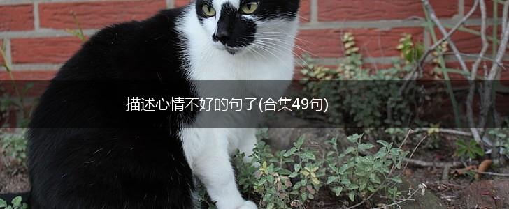 描述心情不好的句子(合集49句),第1张