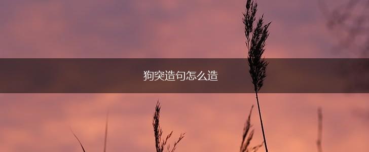 狗突造句怎么造,第1张 狗突造句怎么造,第1张