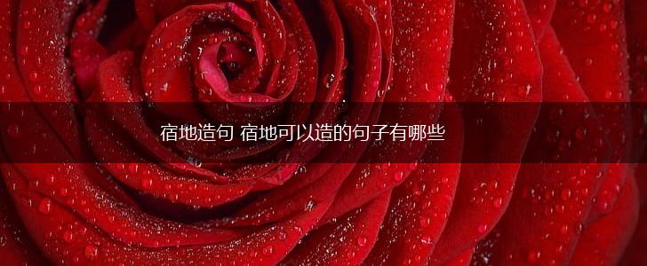 宿地造句 宿地可以造的句子有哪些,第1张 宿地造句 宿地可以造的句子有哪些,第1张