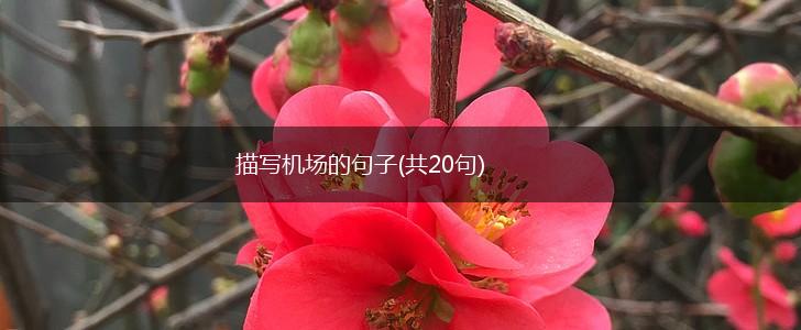 描写机场的句子(共20句),第1张