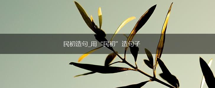 民初造句_用“民初”造句子,第1张