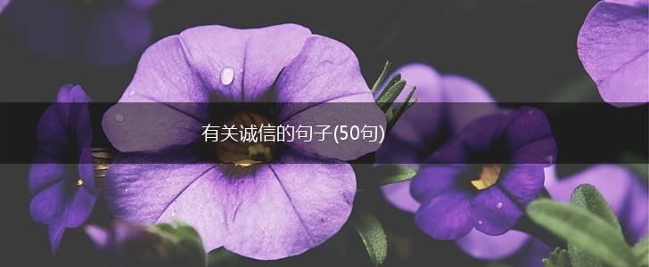 有关诚信的句子(50句),第1张