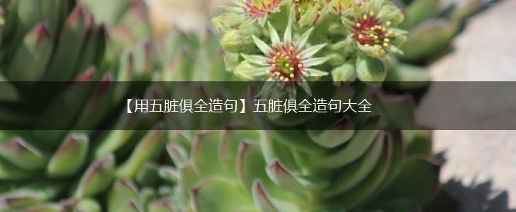 【用五脏俱全造句】五脏俱全造句大全,第1张