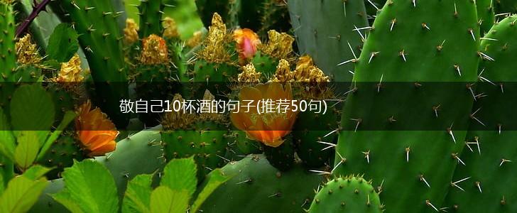 敬自己10杯酒的句子(推荐50句),第1张