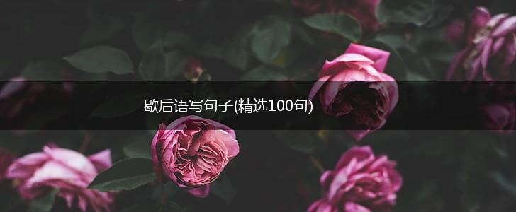 歇后语写句子(精选100句),第1张