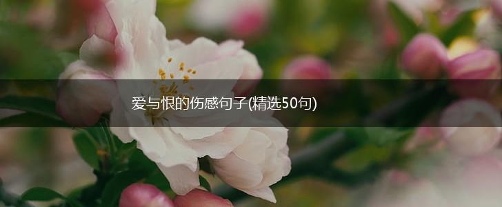 爱与恨的伤感句子(精选50句),第1张