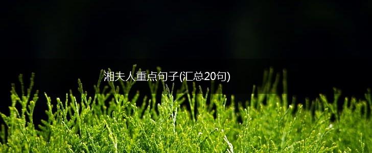 湘夫人重点句子(汇总20句),第1张