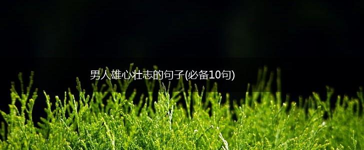 男人雄心壮志的句子(必备10句),第1张