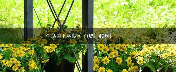 生活中的幽默句子(热门40句),第1张