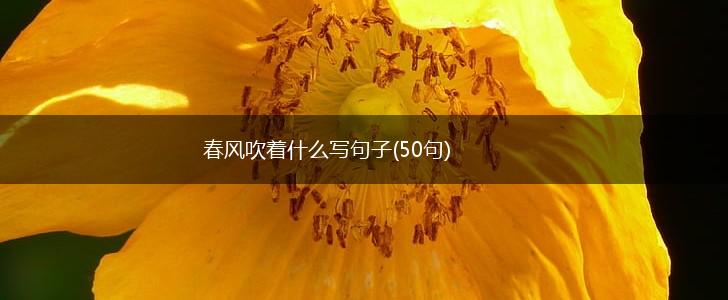 春风吹着什么写句子(50句),第1张