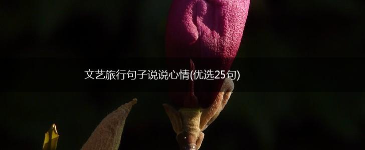 文艺旅行句子说说心情(优选25句),第1张