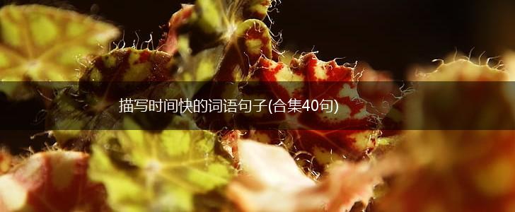 描写时间快的词语句子(合集40句),第1张