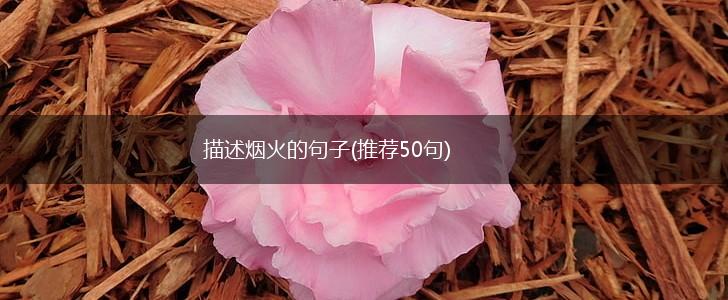 描述烟火的句子(推荐50句),第1张