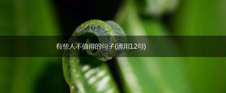 有些人不值得的句子(通用12句),第1张