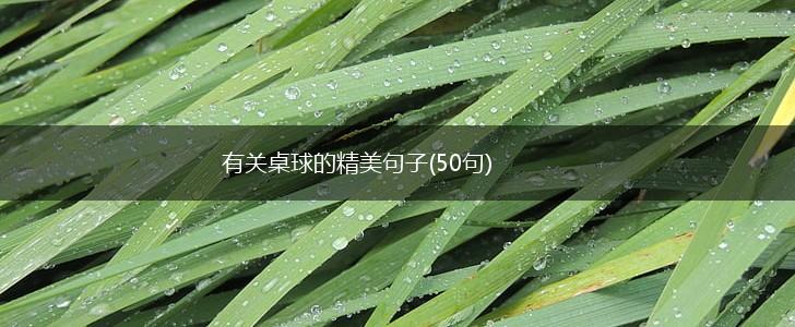 有关桌球的精美句子(50句),第1张