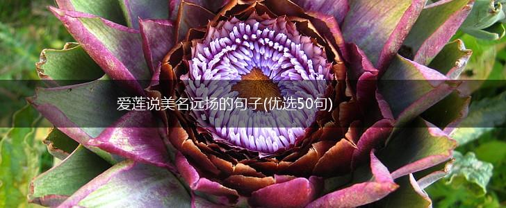 爱莲说美名远扬的句子(优选50句),第1张