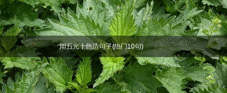 用五光十色造句子(热门10句),第1张