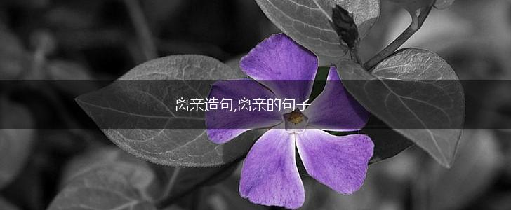 离亲造句,离亲的句子,第1张