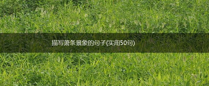 描写萧条景象的句子(实用50句),第1张