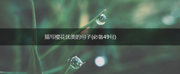 描写樱花优美的句子(必备49句),第1张