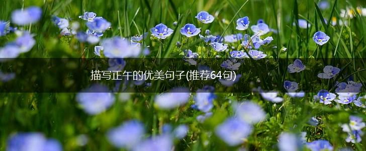 描写正午的优美句子(推荐64句),第1张