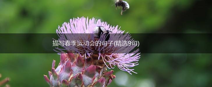 描写春季运动会的句子(精选9句),第1张