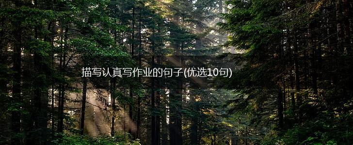 描写认真写作业的句子(优选10句),第1张