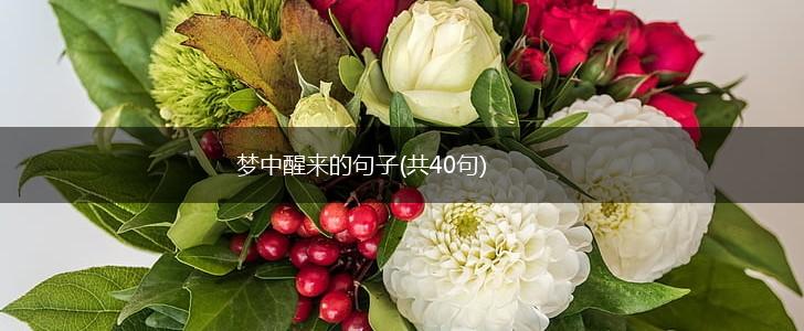 梦中醒来的句子(共40句),第1张