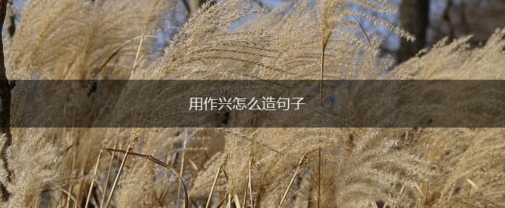 用作兴怎么造句子,第1张 用作兴怎么造句子,第1张