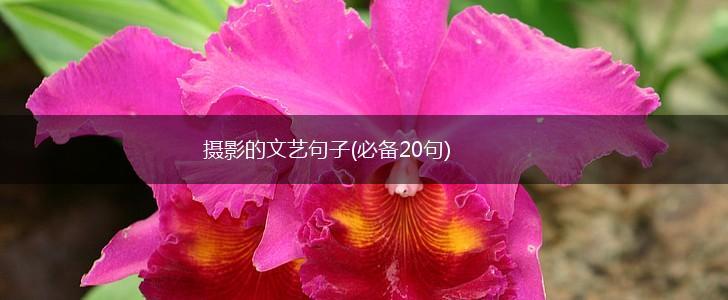 摄影的文艺句子(必备20句),第1张