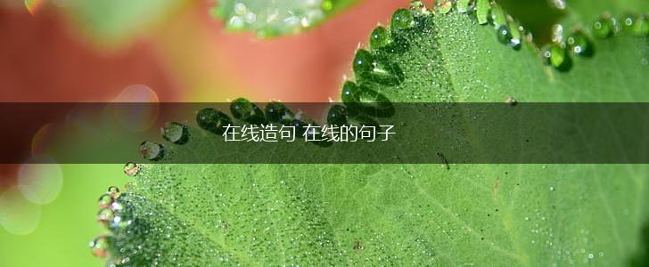 在线造句 在线的句子,第1张