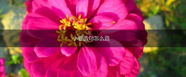 小要造句怎么造,第1张 小要造句怎么造,第1张