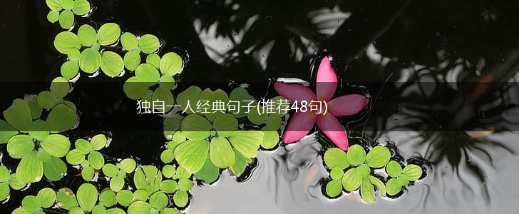 独自一人经典句子(推荐48句),第1张
