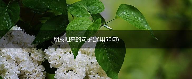 朋友归来的句子(通用50句),第1张