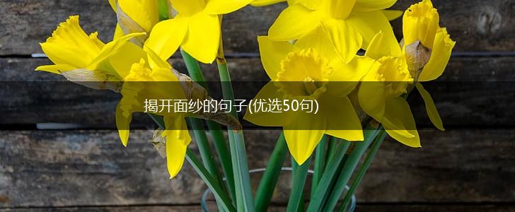 揭开面纱的句子(优选50句),第1张